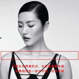 明星肩线