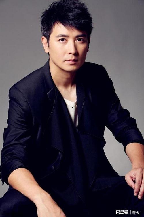 保剑锋照片,光影中的硬汉魅力